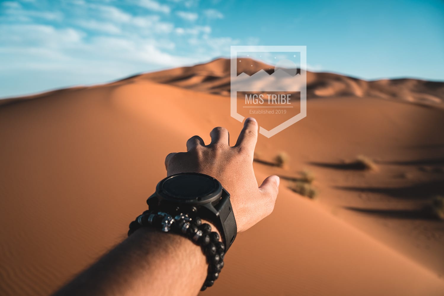 desert-arm_mgstribelogo
